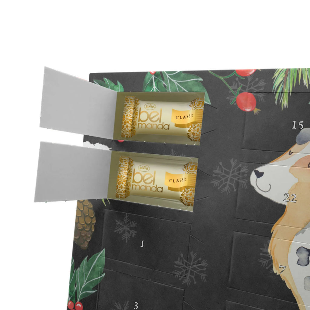 Marzipan Adventskalender Hund Australien Shepherd Marzipan Adventskalender, Hund, Hundemotiv, Haustier, Hunderasse, Tierliebhaber, Hundebesitzer, Sprüche, Familienhund, Australien Shepherd, Spruch, Shepherd, Hundeliebe