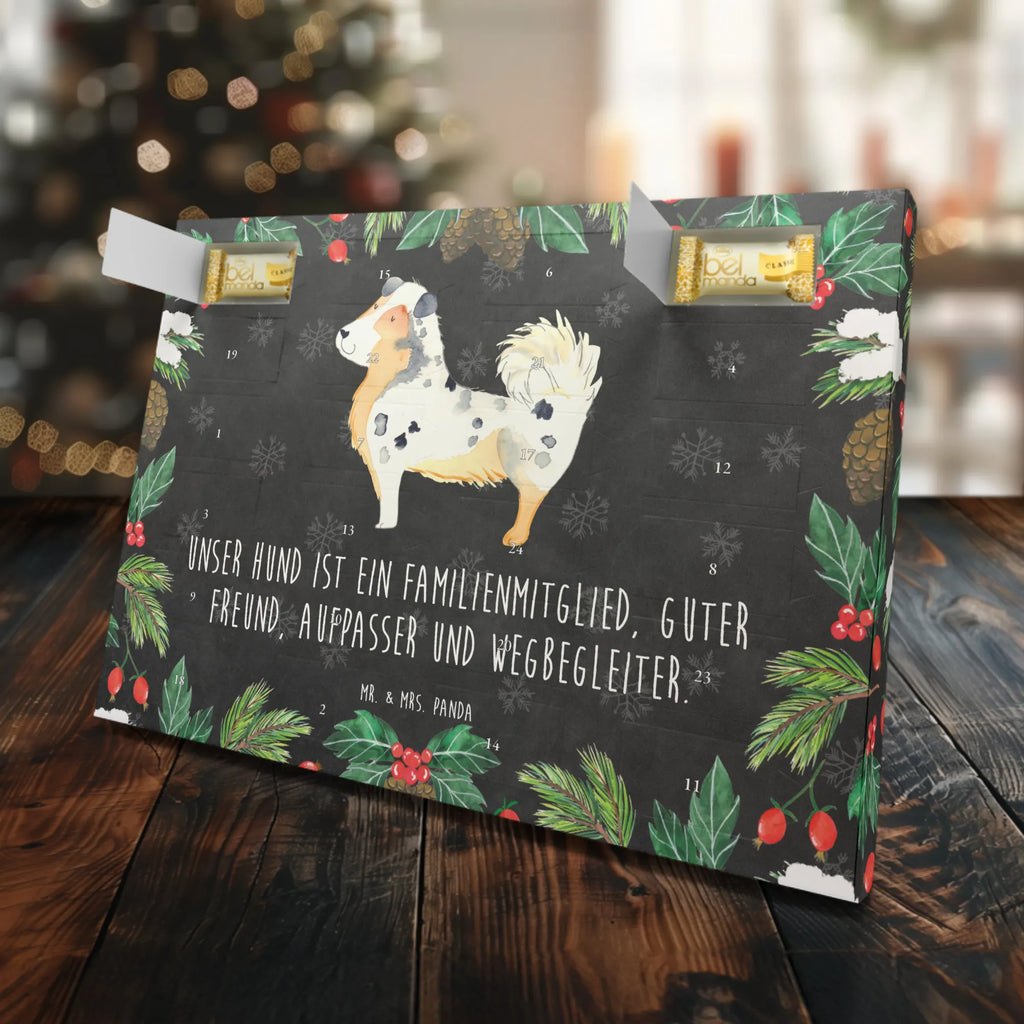 Marzipan Adventskalender Hund Australien Shepherd Marzipan Adventskalender, Hund, Hundemotiv, Haustier, Hunderasse, Tierliebhaber, Hundebesitzer, Sprüche, Familienhund, Australien Shepherd, Spruch, Shepherd, Hundeliebe