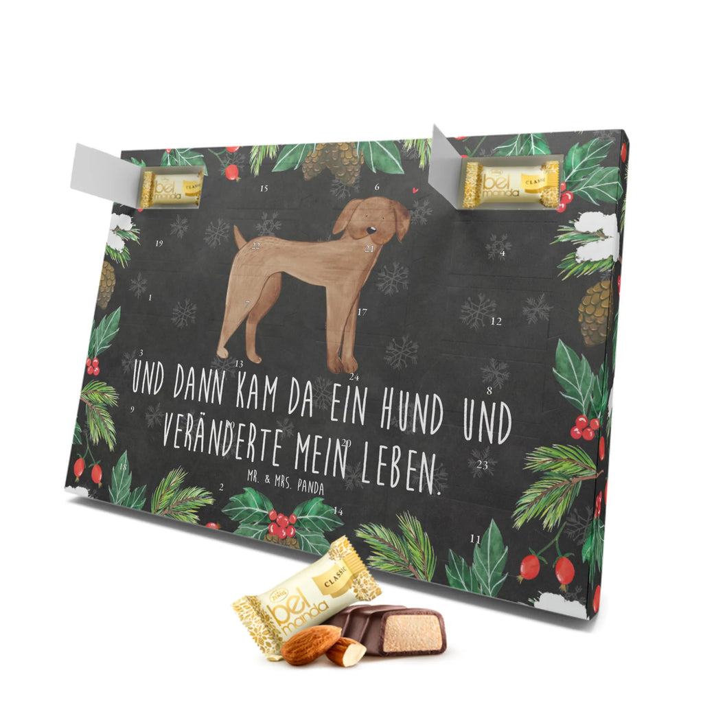 Marzipan Adventskalender Hund Dogge Marzipan Adventskalender, Hund, Hundemotiv, Haustier, Hunderasse, Tierliebhaber, Hundebesitzer, Sprüche, Dogge, Hunde, Deutsche Dogge, Great Dane
