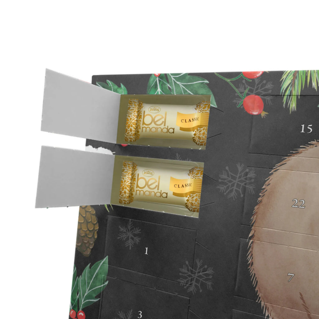 Marzipan Adventskalender Wombat Marzipan Adventskalender, Tiermotive, Gute Laune, lustige Sprüche, Tiere, Australien, Spruch, Wombat, Motivation, Das Leben ist schön