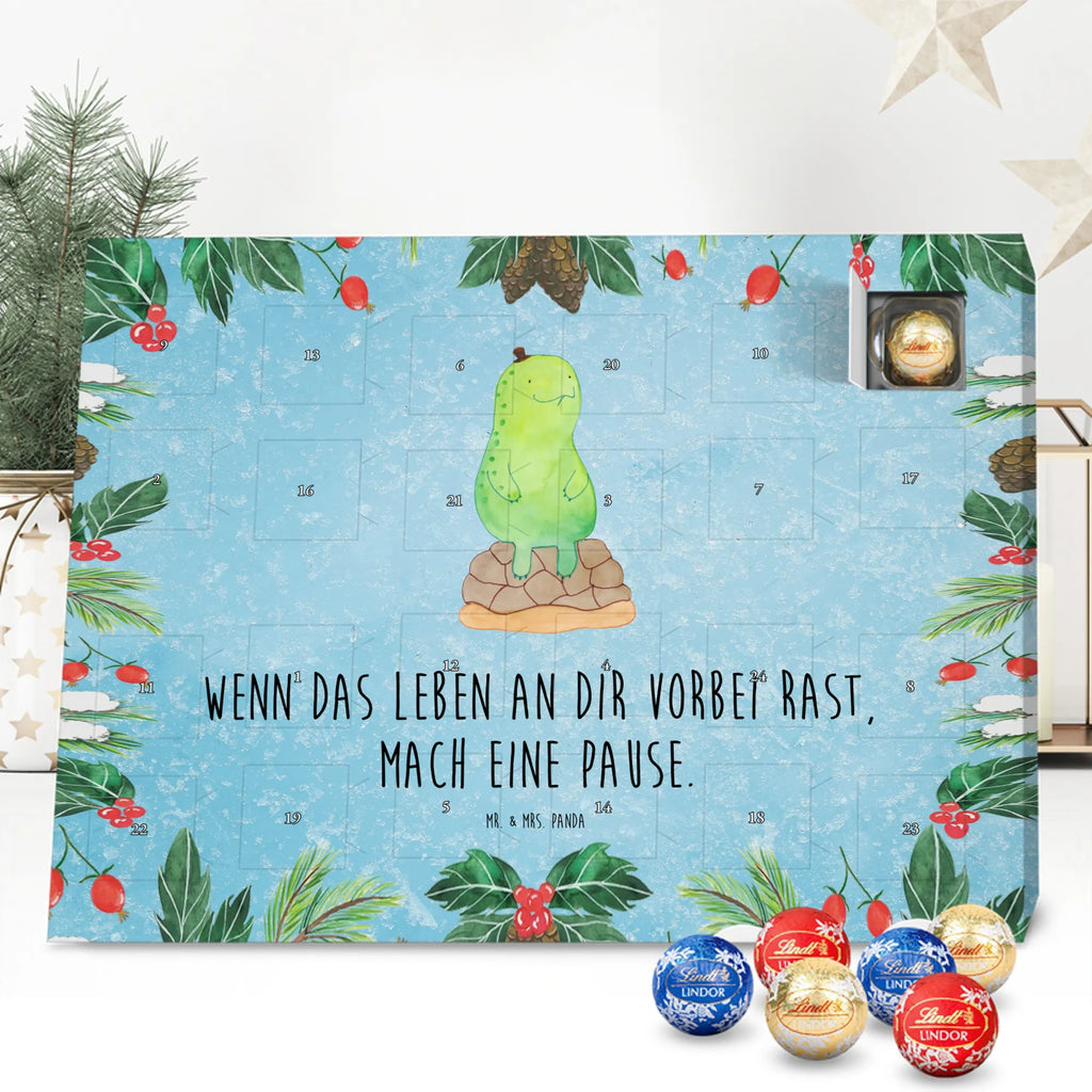  żółw Przerwa Skałka