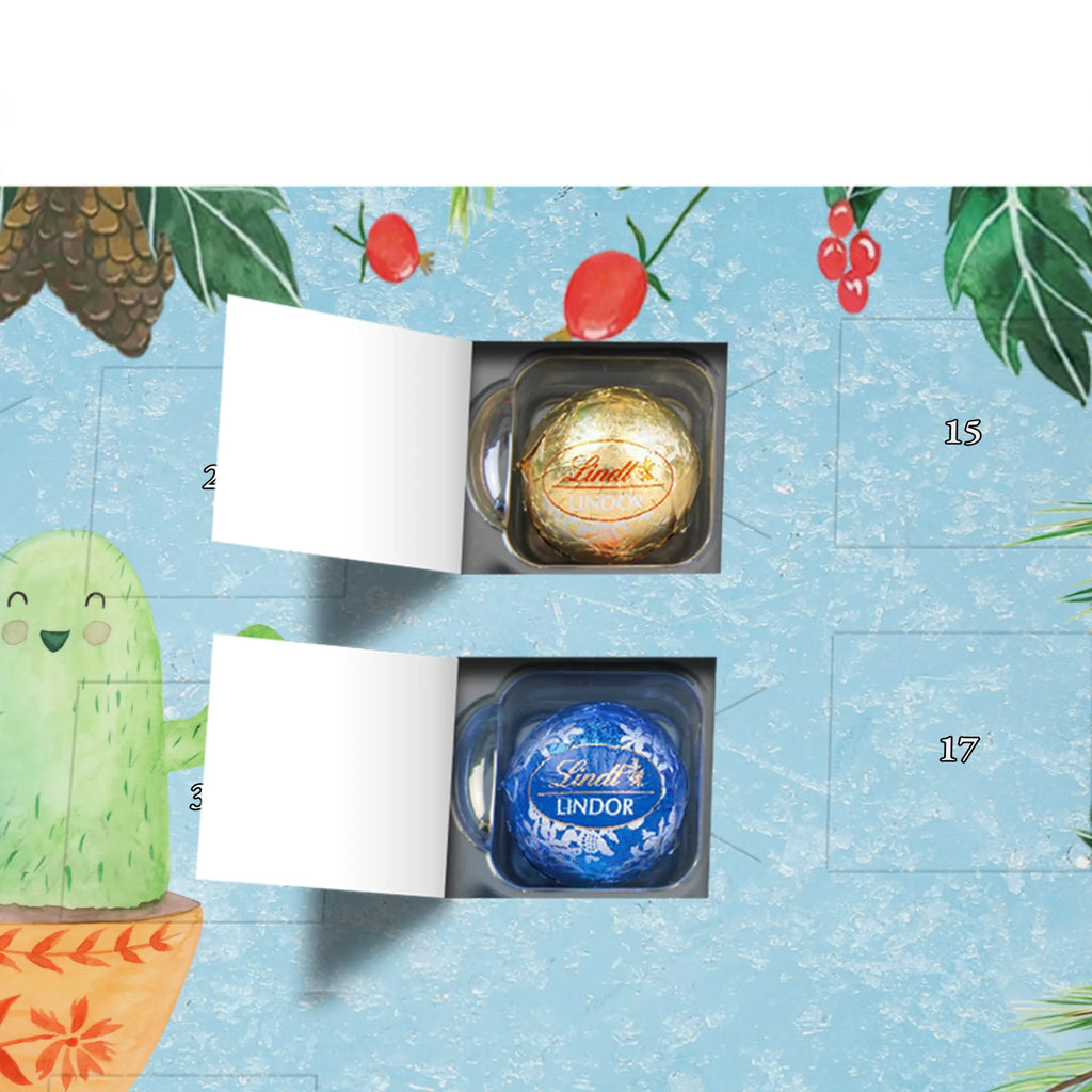  Kaktus balon Kaktusy