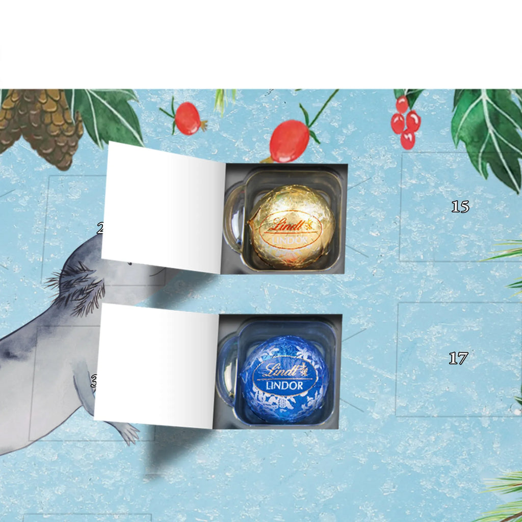 Chocolate advent calendar axolotl To swim Mexican walking fish, Axelotl, marine animals, salamander, amphibians, problems, solutions, tail