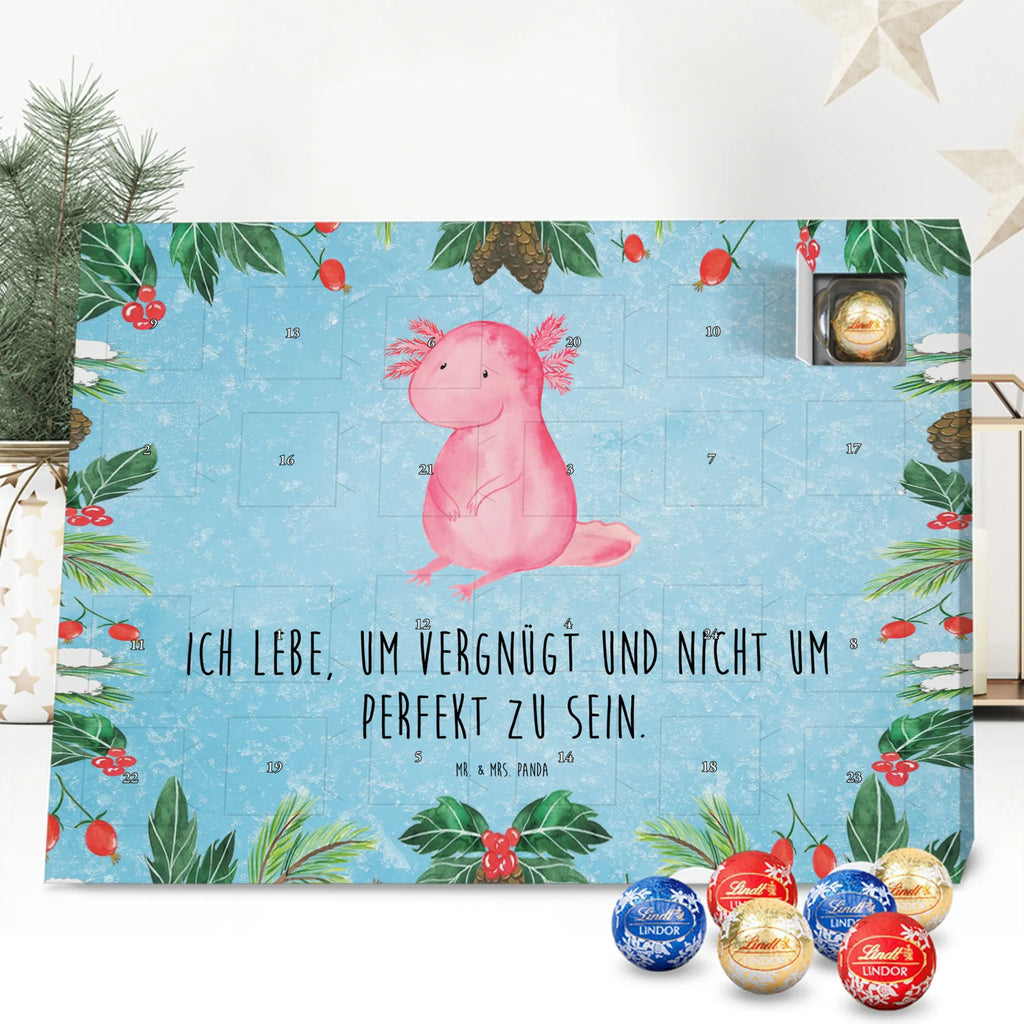 Chocolate advent calendar axolotl zero Mexican walking fish, Axelotl, marine animals, salamander, lifestyle, girlfriend, cheerful, contented, worldly wisdom, wisdom