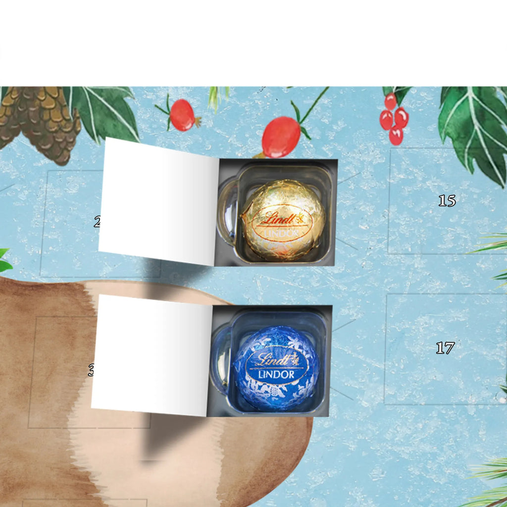 Chocolate advent calendar Guinea pig wisdom gift ideas, gifts, small animals, good mood, cute, funny sayings, cute animal motives, hand drawn, special gifts, card, animal lover, wonderland, flower child, reality, guinea pig, wonder, wisdom, saying