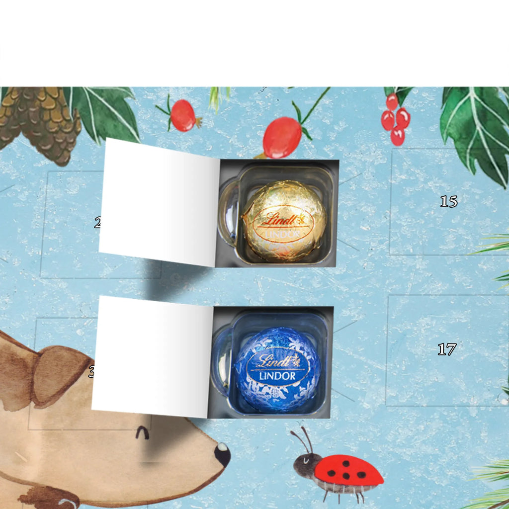 Chocolate advent calendar Dog ladybug mutt, dog sayings, love dogs, dog mama, funny gifts for dog owners, woof, what do you give a dog lover, dog breed, Christmas gifts for dogs, gifts for dogs, bag with dog print, love for dogs, hound, dog decorative items, Mongrel dog, Dog slogan, Ladybird, Sayings, Mongrel, Dogs