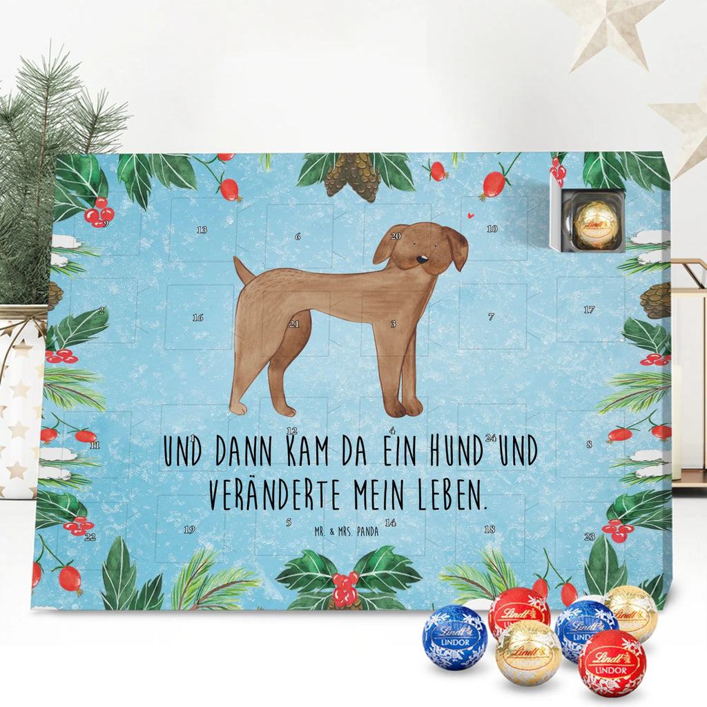 Chocolate advent calendar Dog mastiff mutt, dog sayings, love dogs, dog mama, funny gifts for dog owners, woof, what do you give a dog lover, dog breed, Christmas gifts for dogs, gifts for dogs, bag with dog print, love for dogs, hound, dog decorative items, Dogs