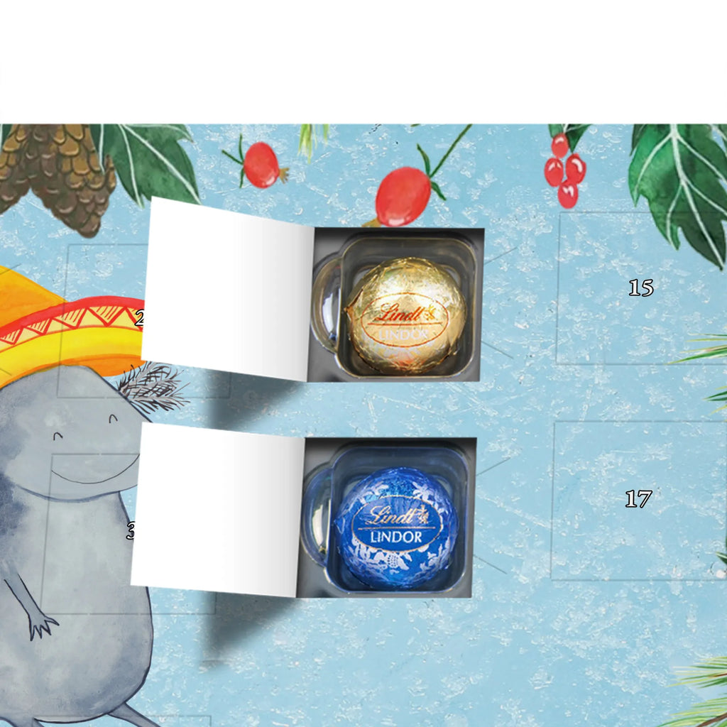 Chocolate advent calendar axolotl tequila Mexican walking fish, Axelotl, marine animals, salamander, Fire Salamander, Fire Dragon, Lemon, Amphibian, Tail Lurch, Saying
