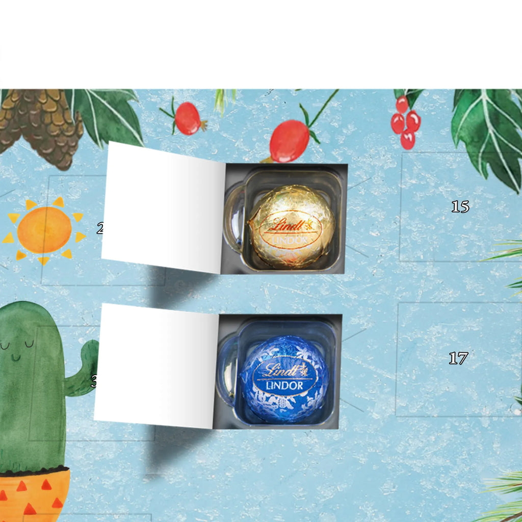 Chocolate advent calendar cactus Sun cactus, cactuses, plants, small green cactus, cactus plant, lovesickness, new start, gift idea, sun, lovesickness gift, divorce, girlfriend, adultery, separation, love cactus love