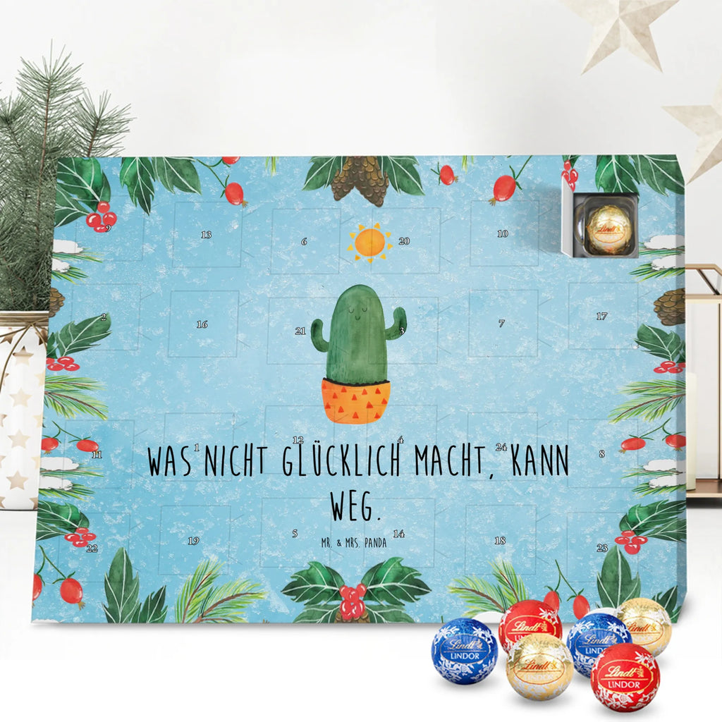 Chocolate advent calendar cactus Sun cactus, cactuses, plants, small green cactus, cactus plant, lovesickness, new start, gift idea, sun, lovesickness gift, divorce, girlfriend, adultery, separation, love cactus love