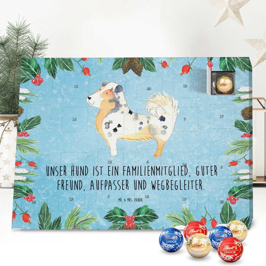 Chocolate advent calendar Dog Australia Shepherd mutt, dog sayings, love dogs, dog mama, funny gifts for dog owners, woof, what do you give a dog lover, dog breed, Christmas gifts for dogs, gifts for dogs, bag with dog print, love for dogs, hound, dog decorative items, Dog love, Australia Shepherd, Family dog, Saying, Sayings