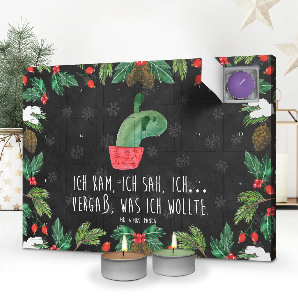 Scented candle advent calendar cactus mummy plants, cactus plant, small green cactus, cactuses, cactus, school, cactus love, office life, annoyance, quota, cacti