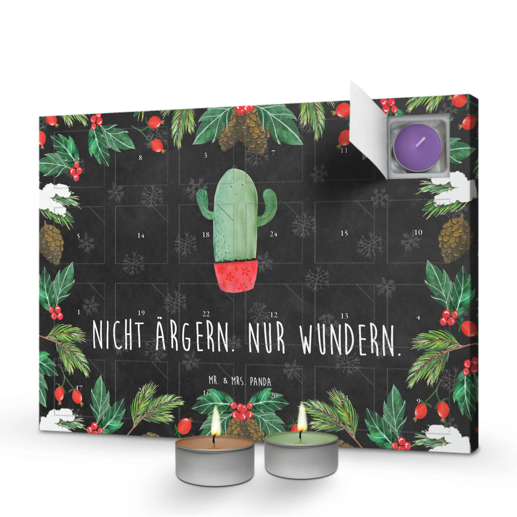 Scented candle advent calendar cactus Fury plants, cactus plant, small green cactus, cactuses, cactus, office life, annoy, school, angry, colleague