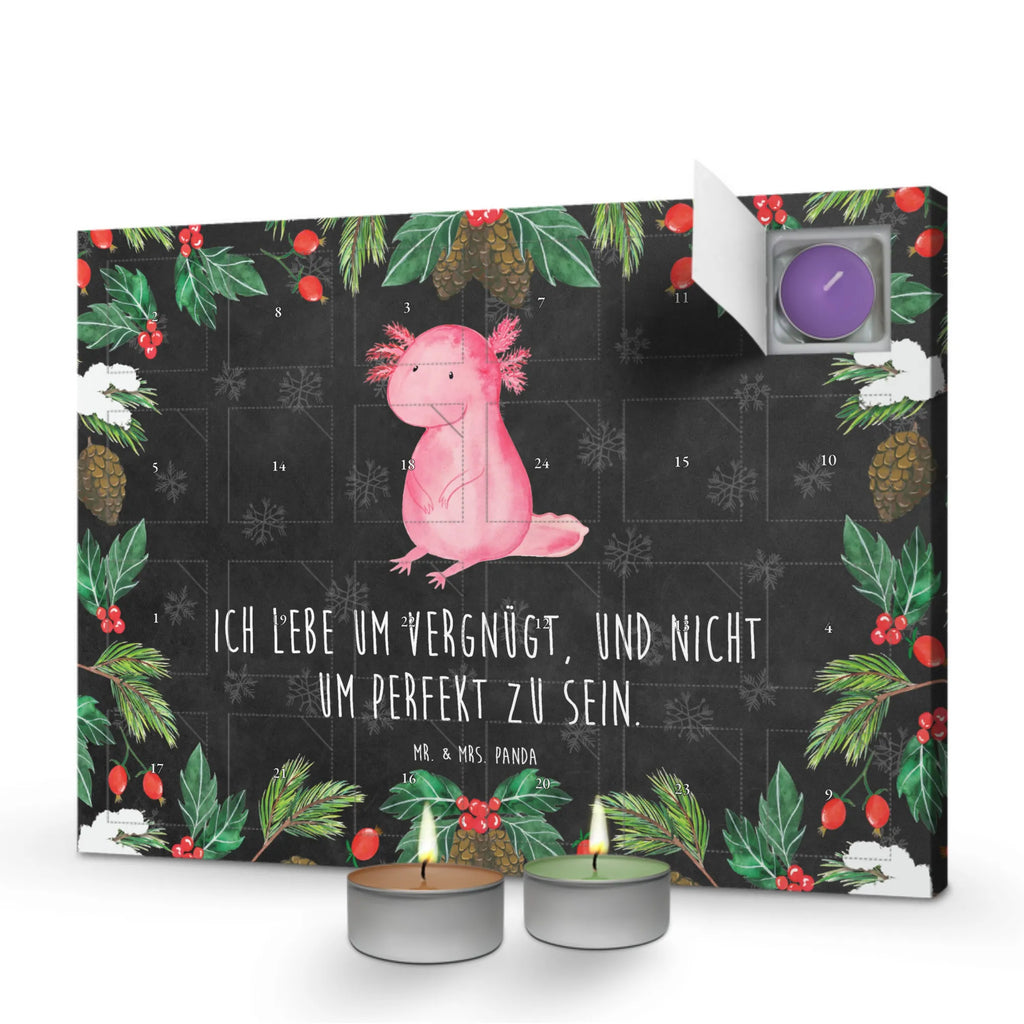 Scented candle advent calendar axolotl zero salamander, Axelotl, marine animals, Mexican walking fish, cheerful, lifestyle, wisdom, contented, worldly wisdom, girlfriend
