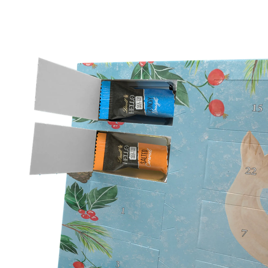 Chocolate advent calendar seal Lay gift ideas, gifts, small animals, good mood, cute, funny sayings, cute animal motives, hand drawn, special gifts, card, animal lover, sea animal, Baltic Sea, North Sea, joy, Seal, seals, laughter