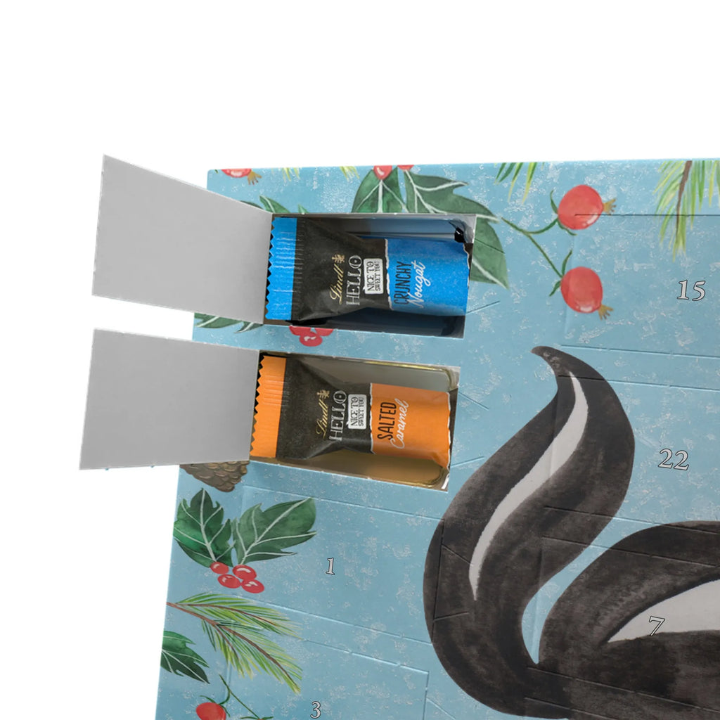 Chocolate advent calendar skunk yoga Stinky, Predator, Live, Wild animal, Laugh