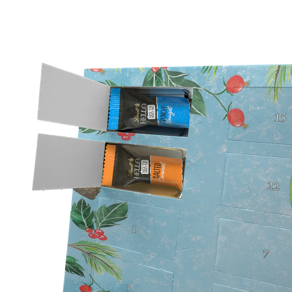  kaktus Szczęśliwy Kaktusy