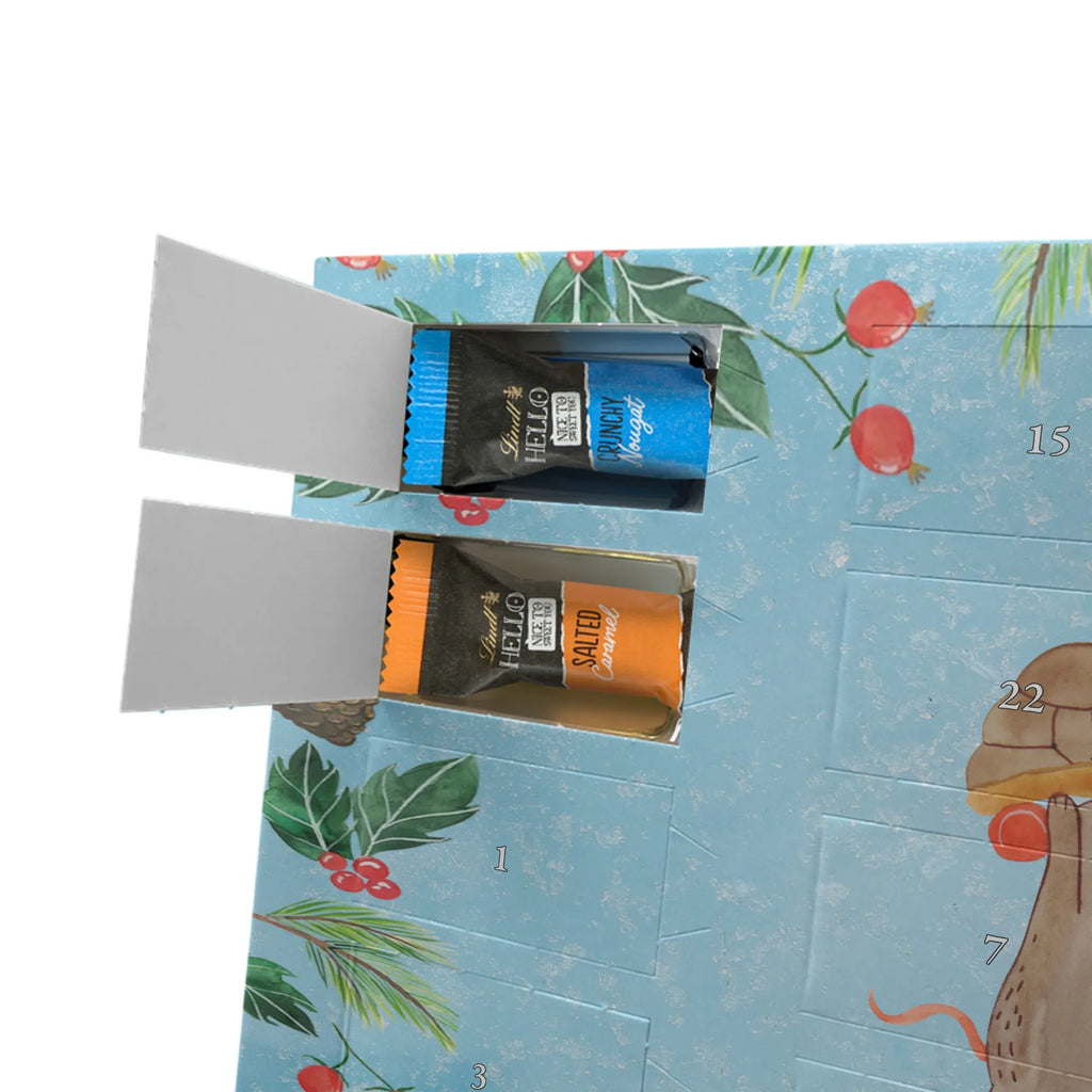 Chocolate advent calendar tortoise Mouse reptile, sister or daughter, sweet, gift ideas, tortoise, turtle gift items, illustrated, best friend, gift, turtle lover, pet turtles, funny turtle gifts, ancient creature, cute, birthday gift, girlfriends, mouse, friends