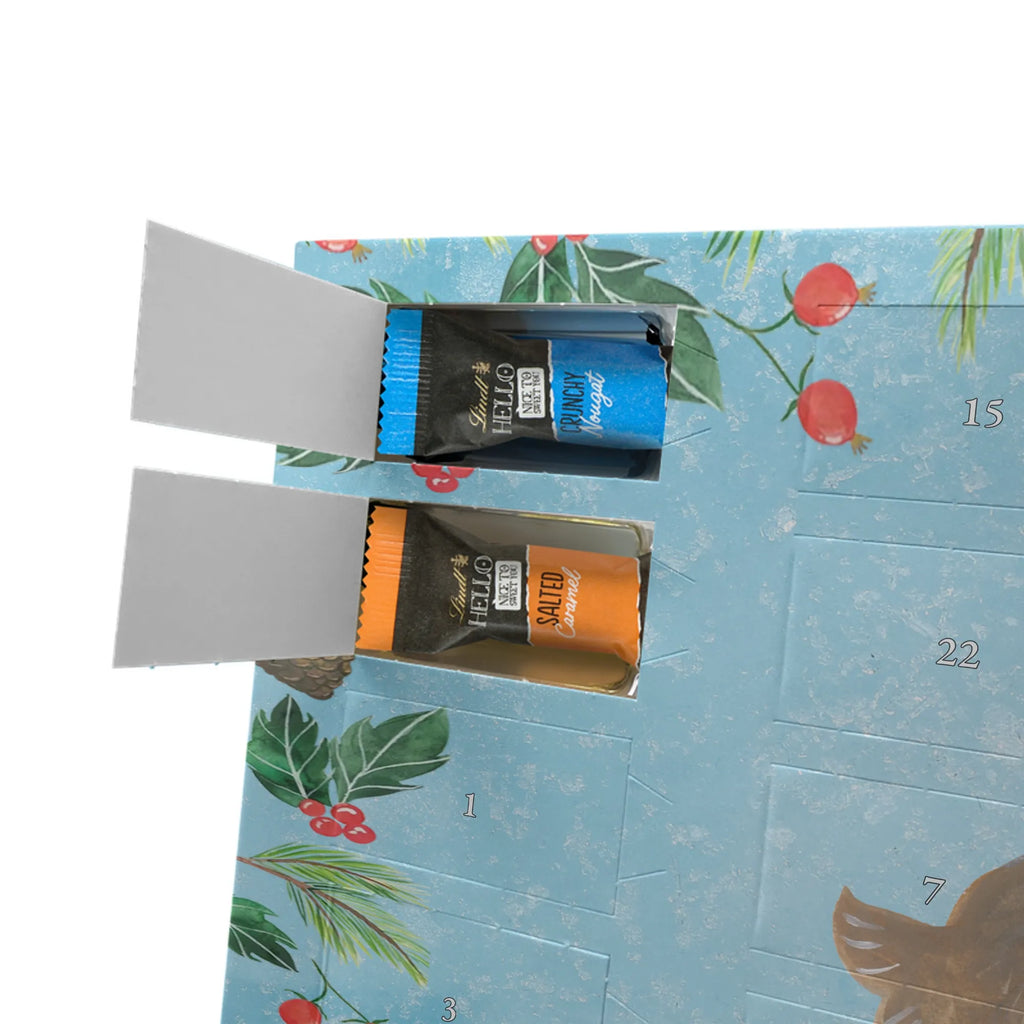 Chocolate advent calendar seal Laugh gift ideas, gifts, small animals, good mood, cute, funny sayings, cute animal motives, hand drawn, special gifts, card, animal lover, Seal, North Sea, Sea animal, Seals, Baltic Sea