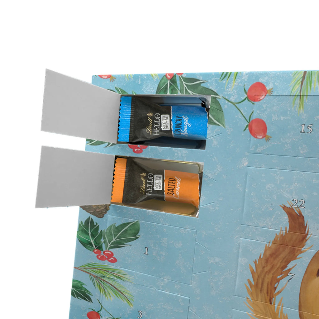 Chocolate advent calendar Squirrel smoothies gift ideas, gifts, small animals, good mood, cute, funny sayings, cute animal motives, hand drawn, special gifts, card, animal lover, chipmunks, squirrels, diet, weight loss