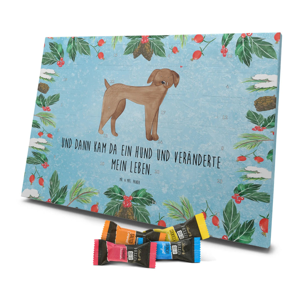 Chocolate advent calendar Dog mastiff mutt, dog sayings, love dogs, dog mama, funny gifts for dog owners, woof, what do you give a dog lover, dog breed, Christmas gifts for dogs, gifts for dogs, bag with dog print, love for dogs, hound, dog decorative items, Dogs