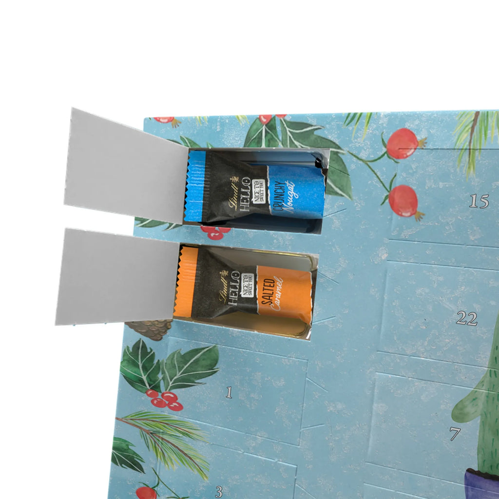 Chocolate advent calendar cactus Love cactus, cactuses, plants, small green cactus, cactus plant, couple, friendship, reconciliation, cactus love, proof of love, quarrel, love message, separation, wedding