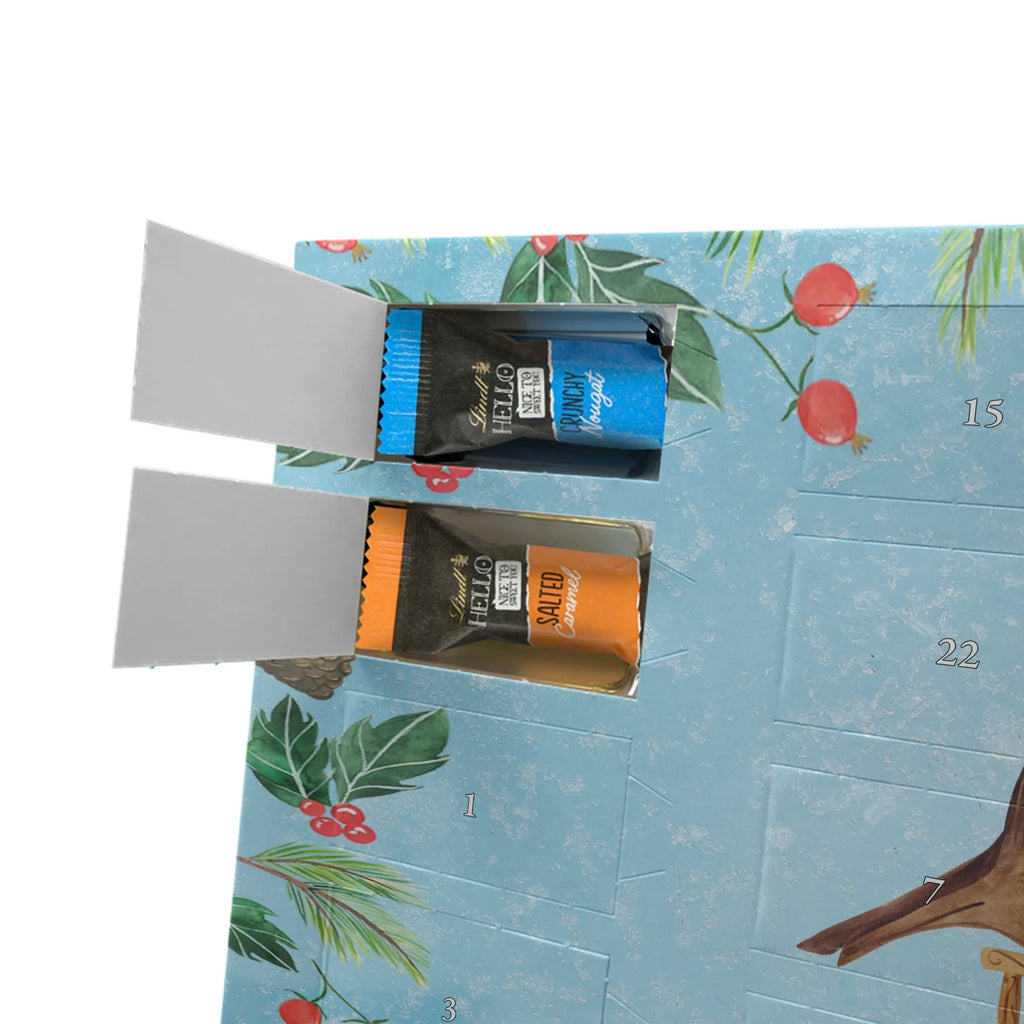 Chocolate advent calendar robin Sleds Christmas time, snow, bird, sleigh