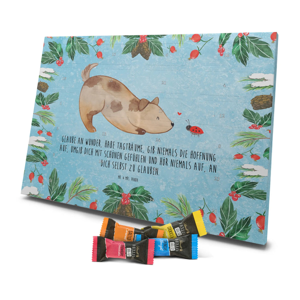 Chocolate advent calendar Dog ladybug mutt, dog sayings, love dogs, dog mama, funny gifts for dog owners, woof, what do you give a dog lover, dog breed, Christmas gifts for dogs, gifts for dogs, bag with dog print, love for dogs, hound, dog decorative items, Mongrel dog, Dog slogan, Ladybird, Sayings, Mongrel, Dogs