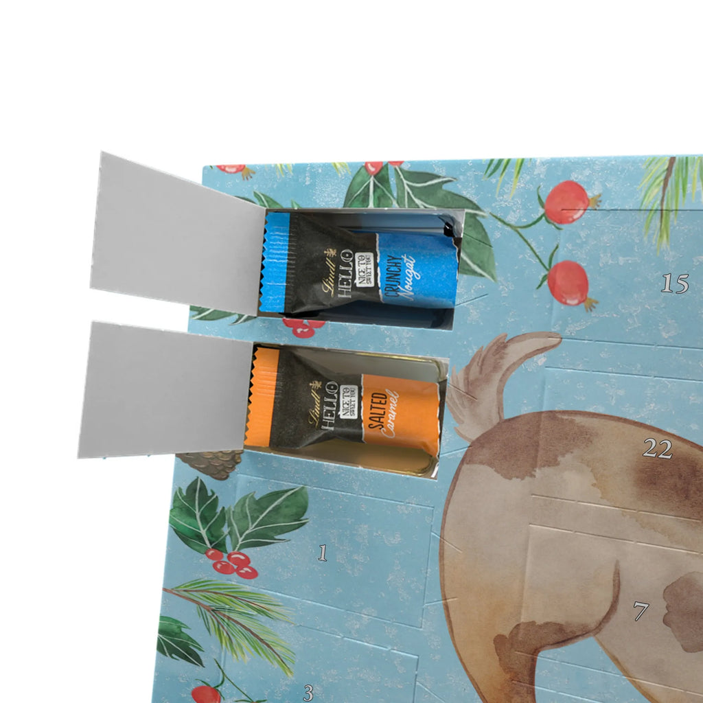 Chocolate advent calendar Dog ladybug mutt, dog sayings, love dogs, dog mama, funny gifts for dog owners, woof, what do you give a dog lover, dog breed, Christmas gifts for dogs, gifts for dogs, bag with dog print, love for dogs, hound, dog decorative items, Mongrel dog, Dog slogan, Ladybird, Sayings, Mongrel, Dogs