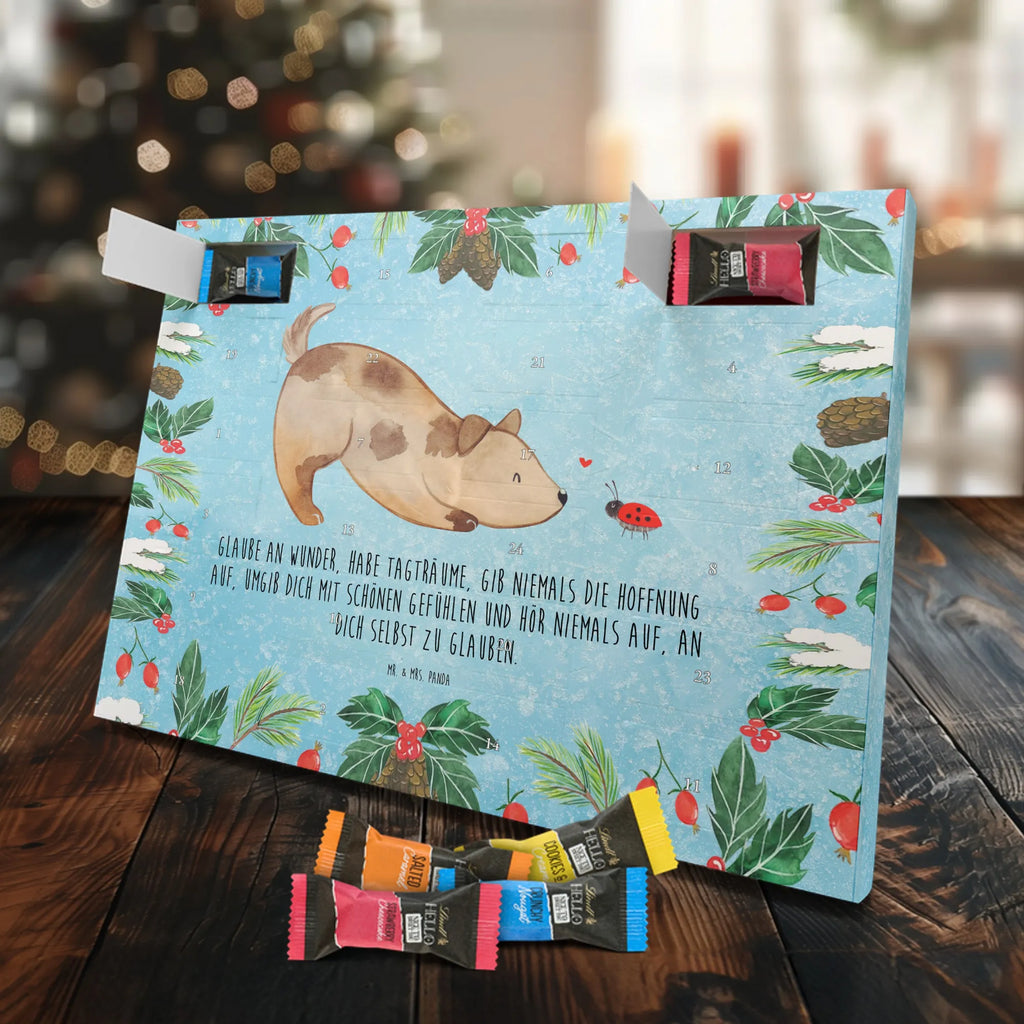 Chocolate advent calendar Dog ladybug mutt, dog sayings, love dogs, dog mama, funny gifts for dog owners, woof, what do you give a dog lover, dog breed, Christmas gifts for dogs, gifts for dogs, bag with dog print, love for dogs, hound, dog decorative items, Mongrel dog, Dog slogan, Ladybird, Sayings, Mongrel, Dogs