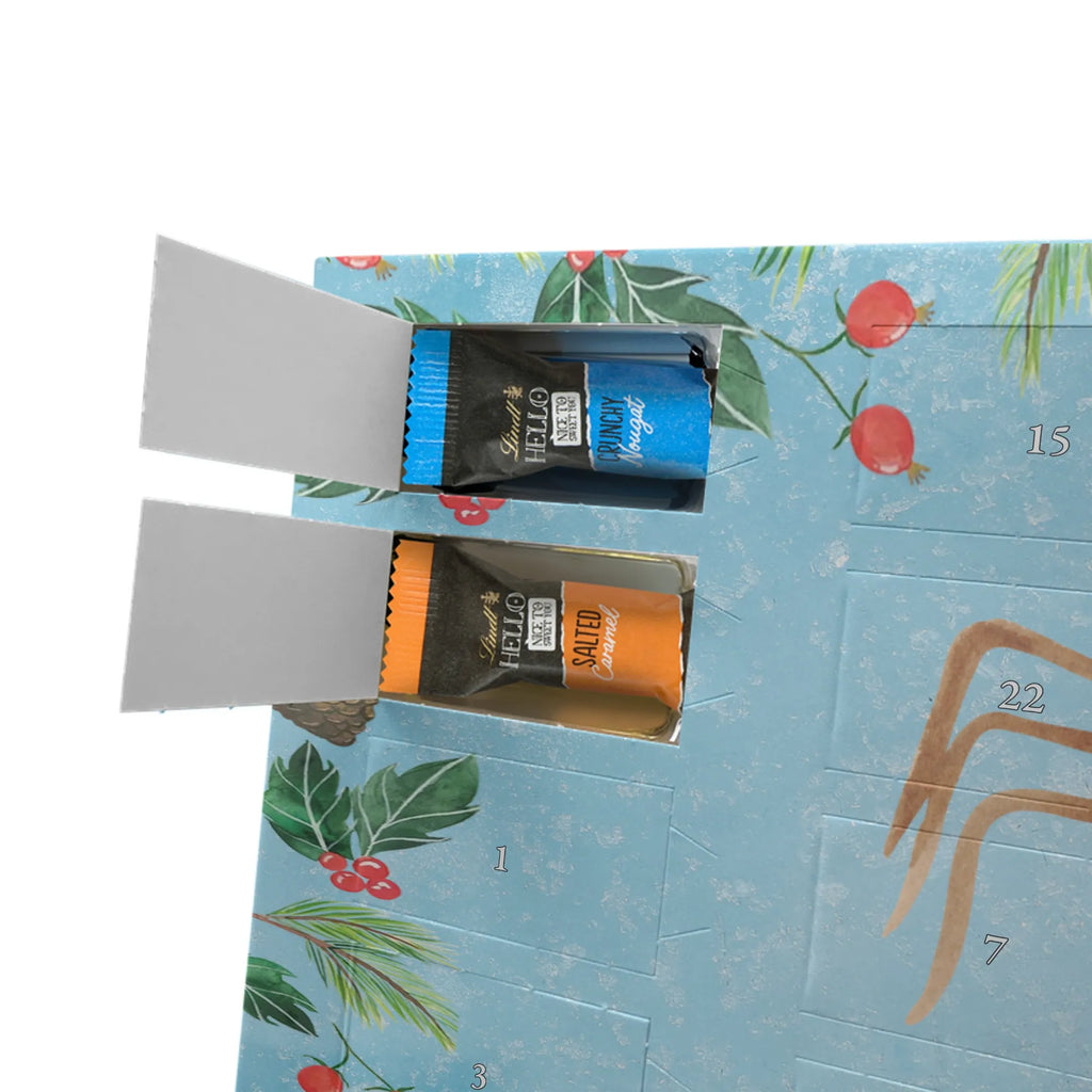 Chocolate advent calendar Spider Agathe coffee Spider, Spider Agathe