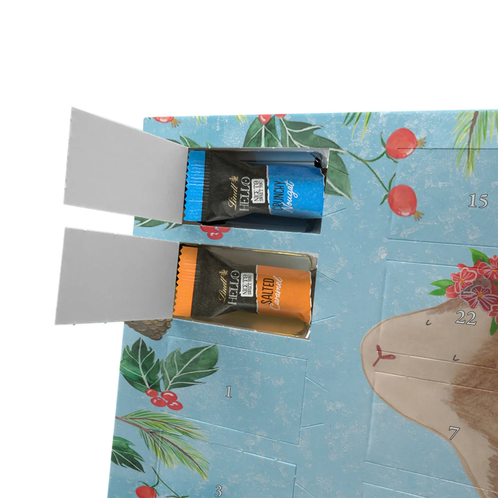 schokolade adventskalender Meerschweinchen Weisheit kalender weihnachten, schokolade adventskalender, schoko kalender, Weihnachtskalender, Weihnachtskalender Schokolade, kalender schokolade, Schokoladen Adventskalender, pralinen adventskalender, schokoladenkalender, adventskalender pralinen, schoko weihnachtskalender, Schokoladen-Adventskalender, Adventskalender Schokolade, süßigkeiten kalender, Schoko-Adventskalender, adventskalender schoko, schokoladen kalender, adventskalender süßigkeiten, Schokoladen-Weihnachtskalender, schokokalender, weihnachtskalender schoko, Adventskalender, süßigkeiten adventskalender, Weihnachts Kalender, Weihnachten Adventskalender, Schoko Adventskalender, Gute Laune, Tiere, Lustige Sprüche, Tiermotive, Blumenkind, Spruch, Weisheit, Wunder, Meeries, Meerie, Meerschweinchen, Realität, Motivation, Wunderland