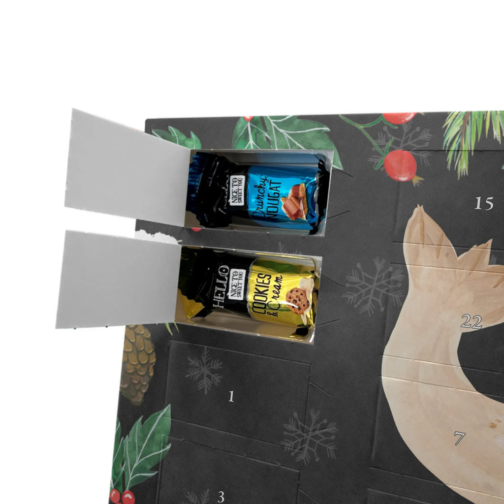 Chocolate advent calendar seal Lay gift ideas, gifts, small animals, good mood, cute, funny sayings, cute animal motives, hand drawn, special gifts, card, animal lover, sea animal, Baltic Sea, North Sea, joy, Seal, seals, laughter