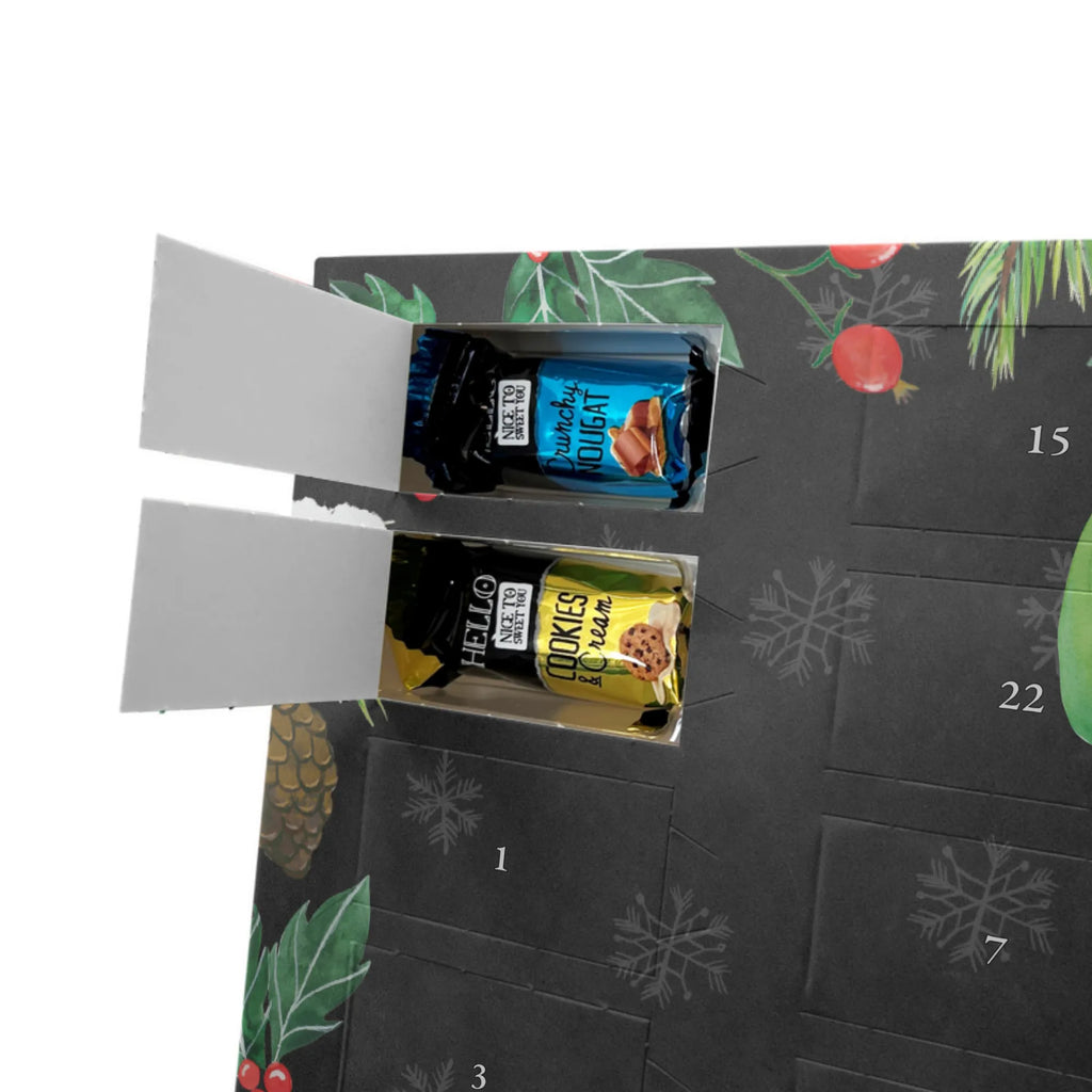  kaktus Szczęśliwy Kaktusy