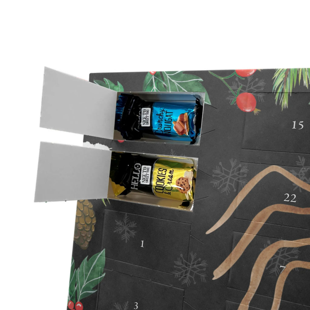  Pająk Agata radość Filmy, Towary, Pająk, Pająk Agathe