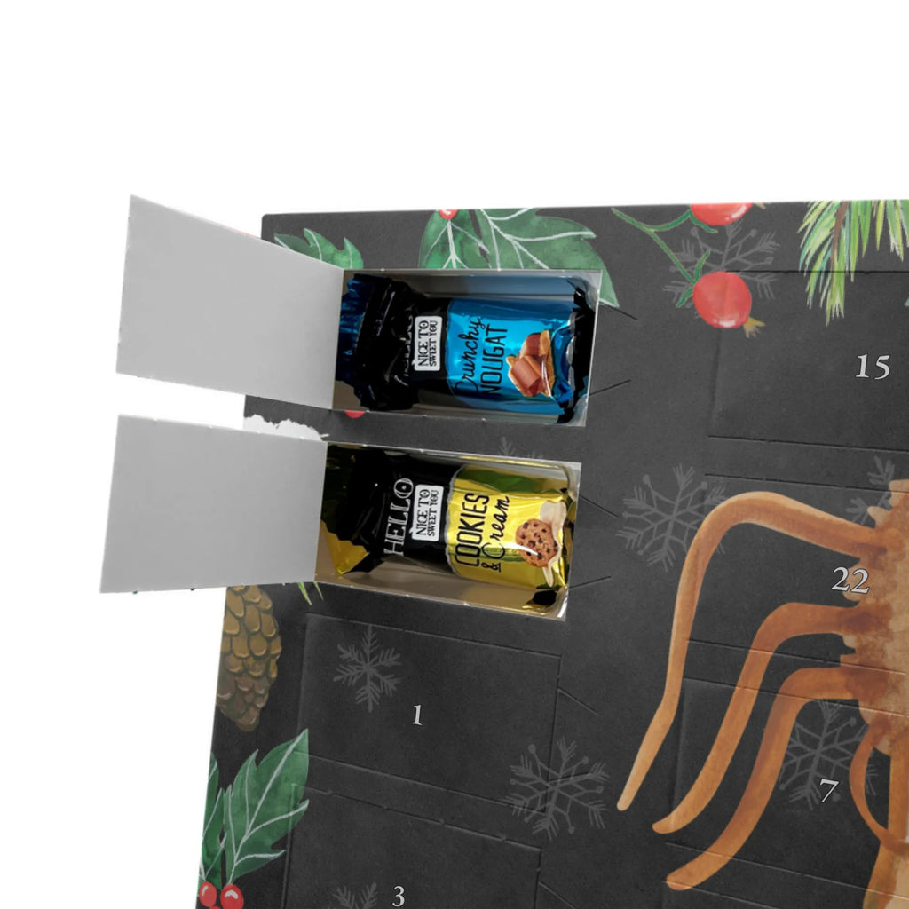  Pająk Agata kanapka Filmy, Towary, Pająk, Pająk Agathe