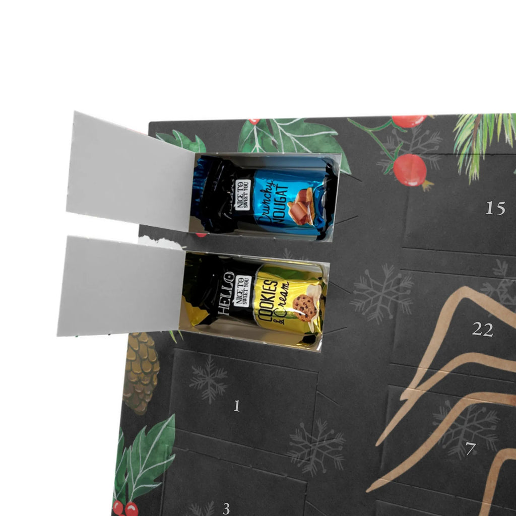  Pająk Agata Impreza Filmy, Towary, Pająk, Pająk Agathe