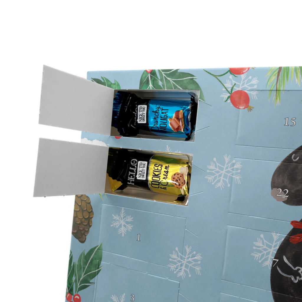  skunk flower predator, stink, wild animal, dreamy, daydreamer