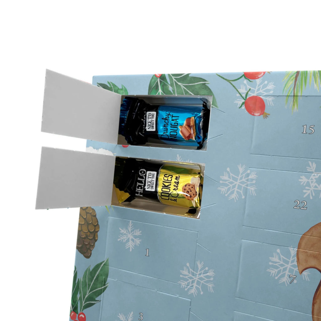  Squirrel Christmas snow, Christmas time, Happy New Year, New Year, Bird, Merry Christmas, Christmas Theme, Christmas Greeting