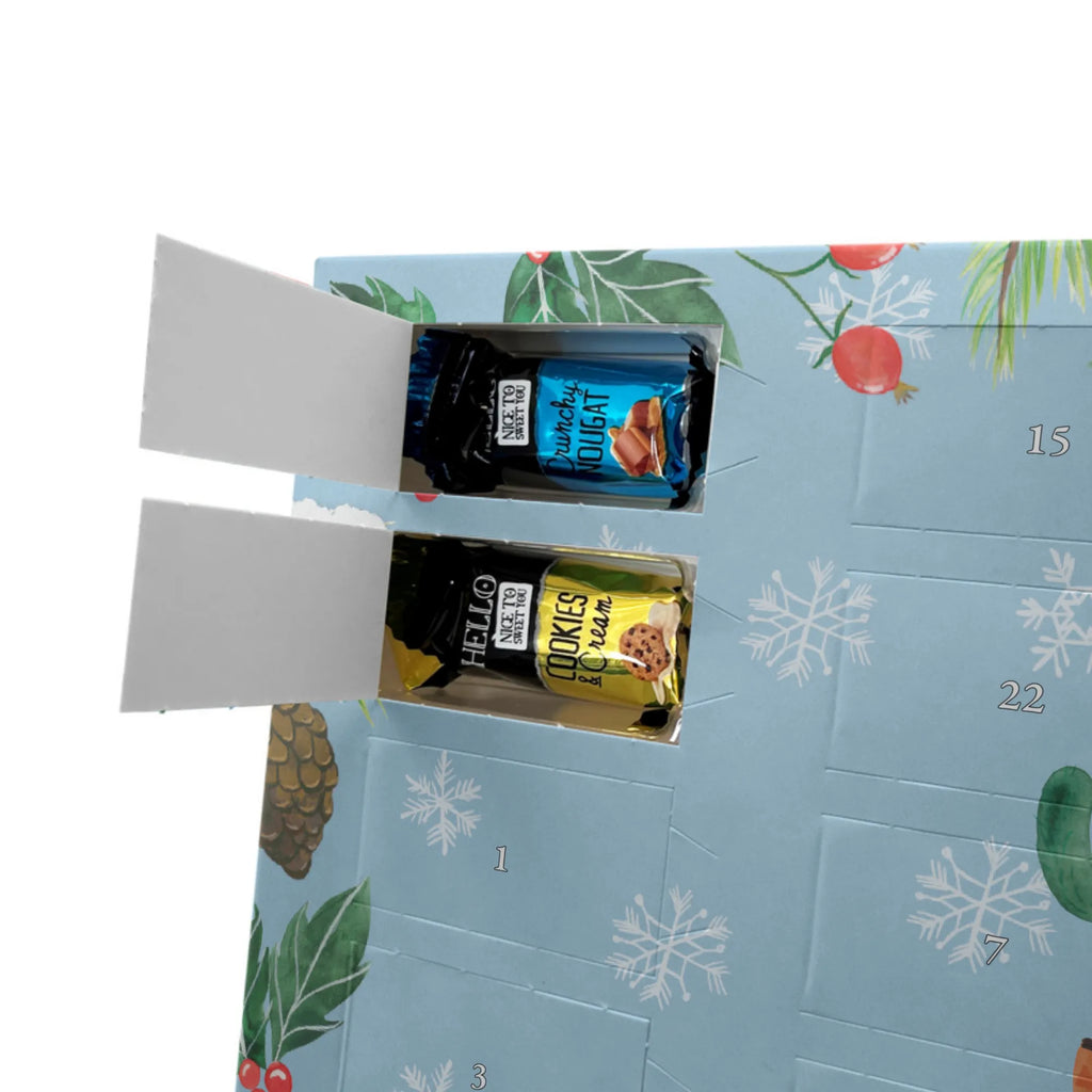  cactus Sun plants, cactus plant, small green cactus, cactuses, cactus, lovesickness gift, sun, new start, love cactus love, girlfriend, divorce, lovesickness, gift idea, adultery, separation