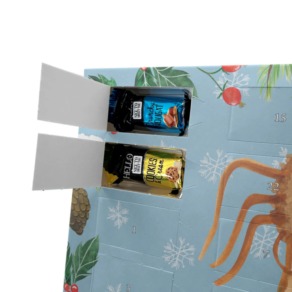  Pająk Agata kanapka Filmy, Towary, Pająk, Pająk Agathe