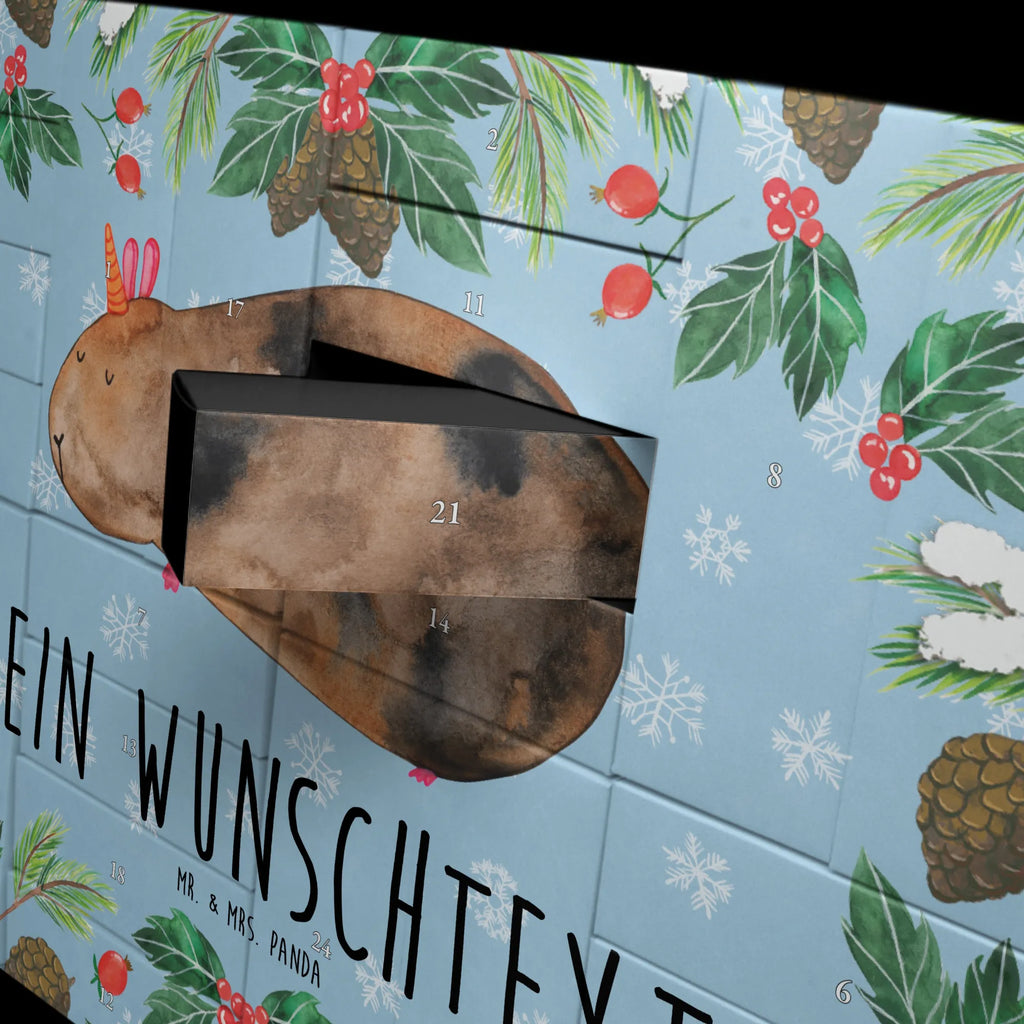  unicorn Guinea pig squirrels, guinea pig