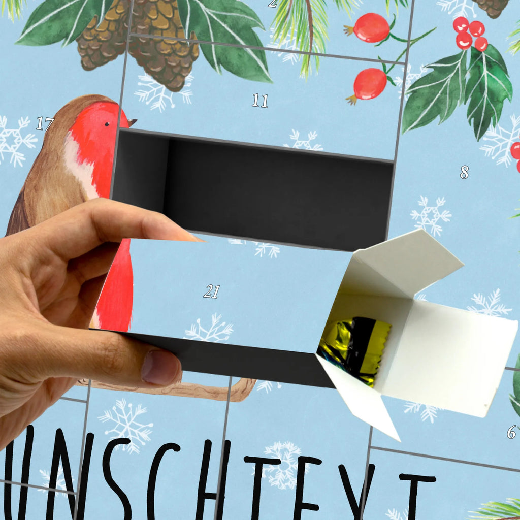  robin Sleds snow, Christmas time, bird, sleigh