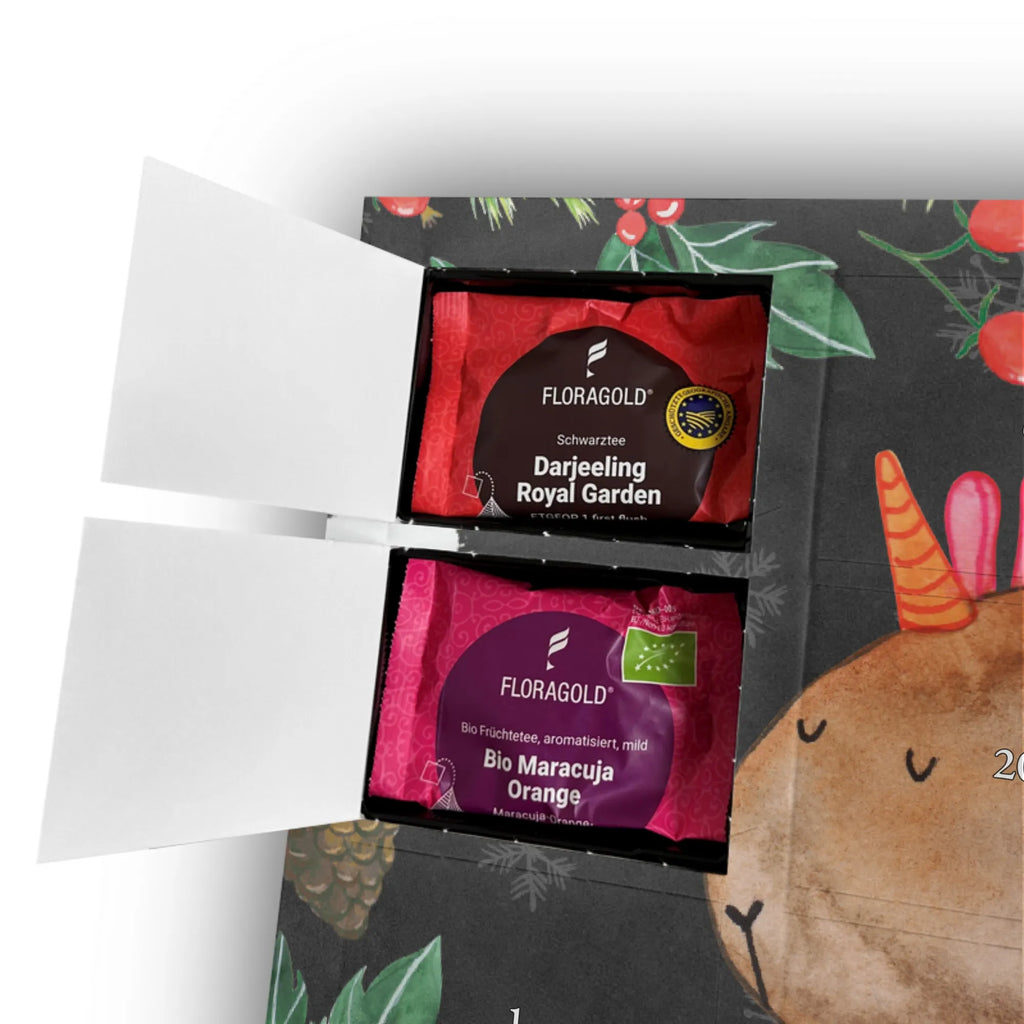  unicorn Guinea pig squirrels, guinea pig