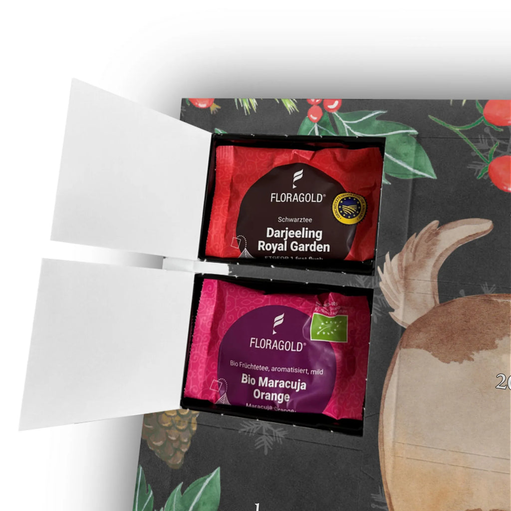  pies biedronka Pies, właściciel psa, rasa psa, miłośnik zwierząt, zwierzę domowe, motyw psa, powiedzenia