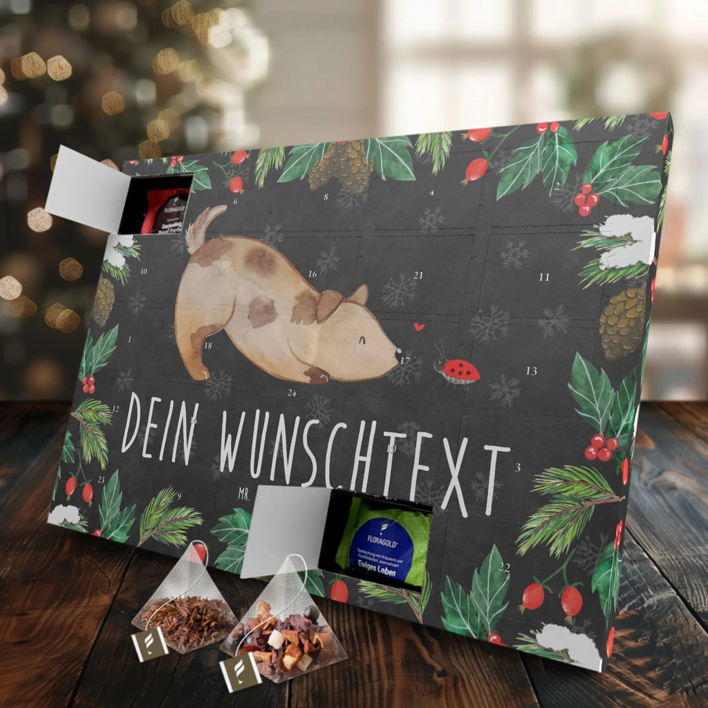  pies biedronka Pies, właściciel psa, rasa psa, miłośnik zwierząt, zwierzę domowe, motyw psa, powiedzenia