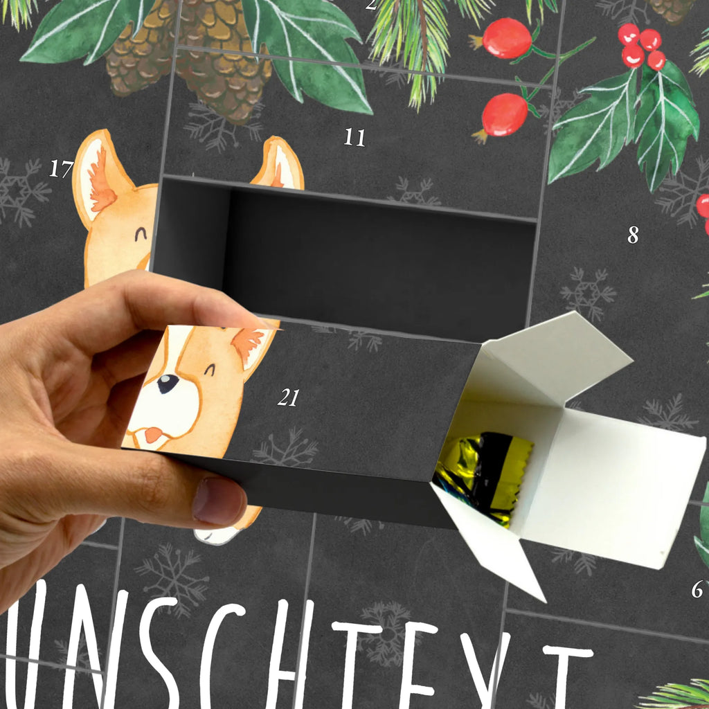  Corgi Pies, właściciel psa, rasa psa, miłośnik zwierząt, zwierzę domowe, motyw psa, powiedzenia