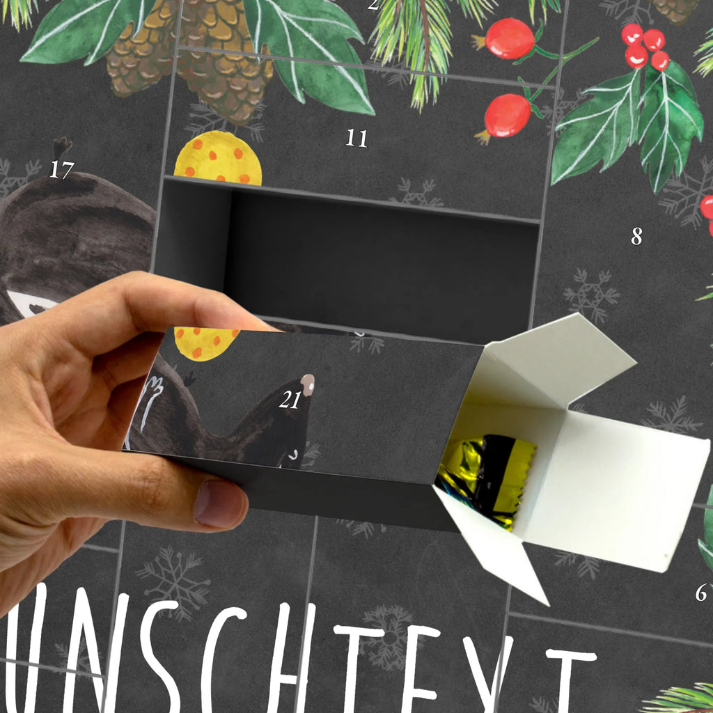  skunk ball predator, wisdom, stinky, playful, wild animal