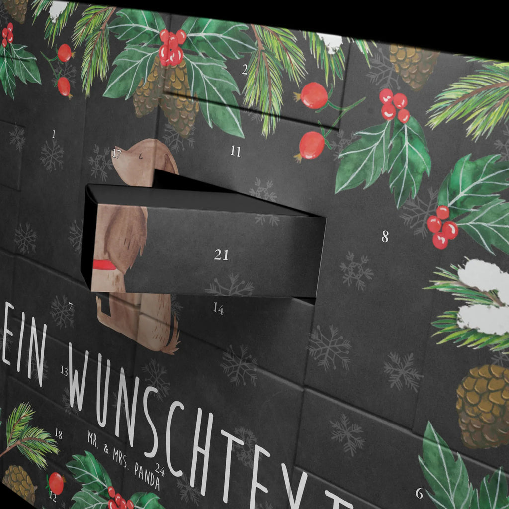  pies kwiat Pies, właściciel psa, rasa psa, miłośnik zwierząt, zwierzę domowe, motyw psa, powiedzenia