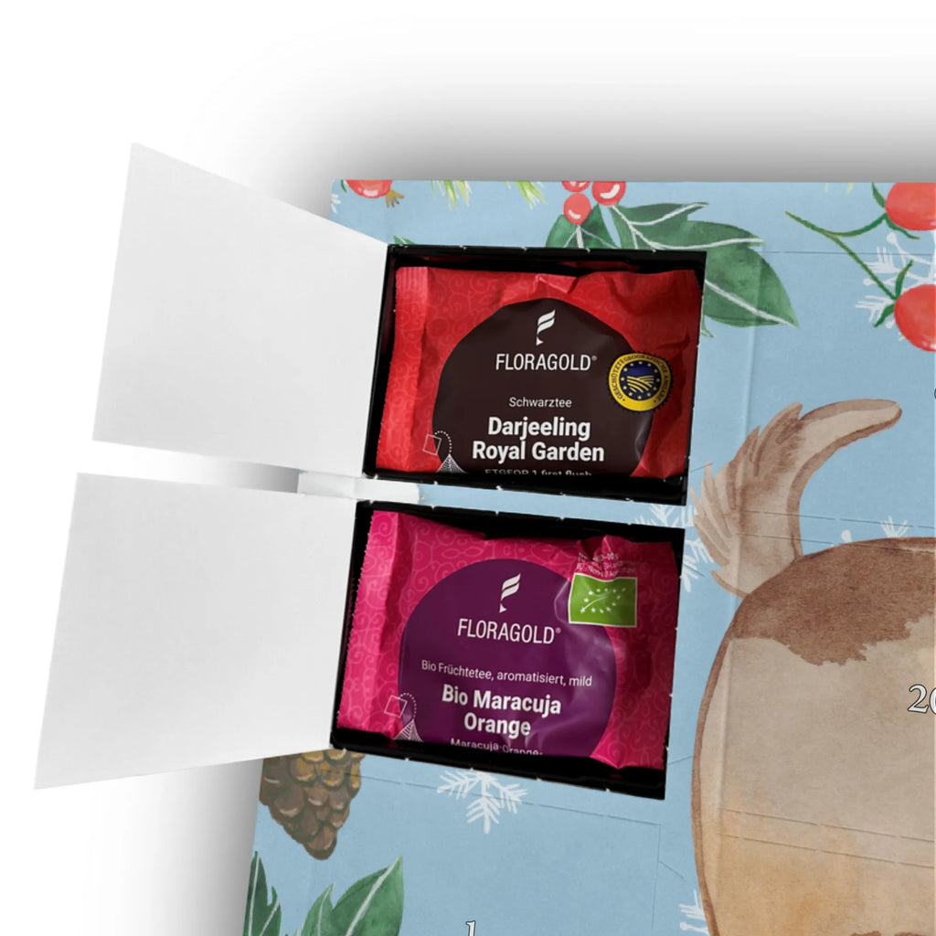  pies biedronka Pies, właściciel psa, rasa psa, miłośnik zwierząt, zwierzę domowe, motyw psa, powiedzenia